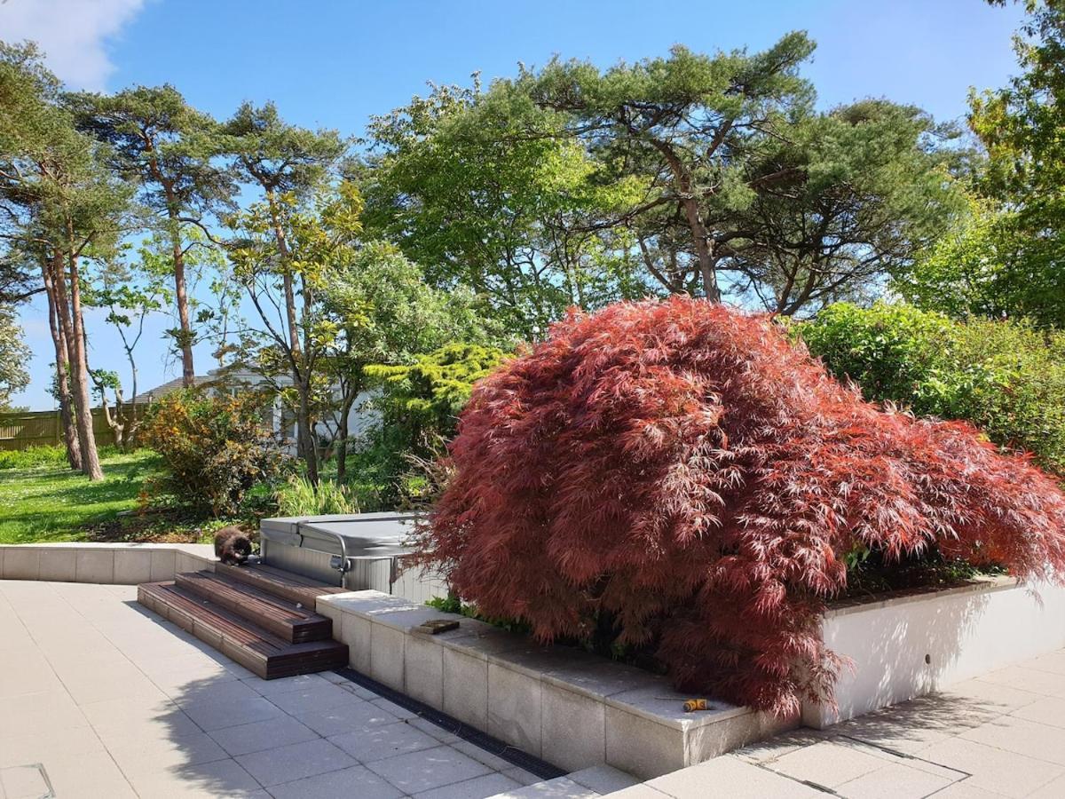 Tranquil & Unique Villa On The Uk'S Sunniest Place Ratton Kültér fotó
